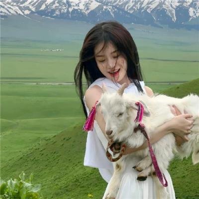 印度刺客:萨达尔·辛格